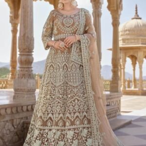 Senhora Twisha Butterfly Net Stone Work Heavy Semi Stitch Gown