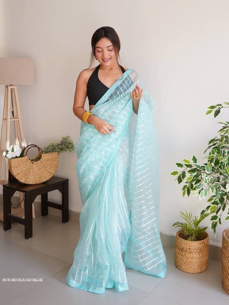 sky blue devika gota work pure 1715247715 Sky Blue Devika Gota work Pure Organza Saree