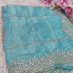 Sky Blue Zimmy Choo Handwork Saree