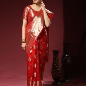 Soft organza silk saree with zari weaving border