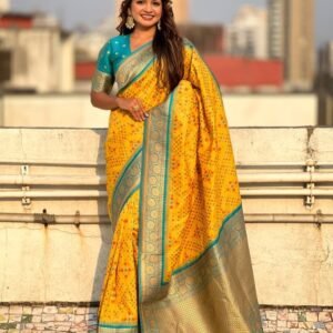 Traditional Meenakari Ikkat Weaves Patola Silk Saree