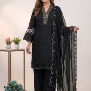 Womens Black Chanderi Suit Set with Sequence Embroidery Work